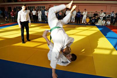 В Скопине соревновались юные дзюдоисты из семи районов области